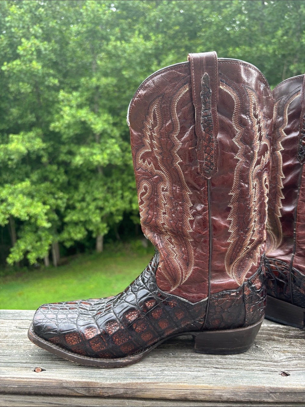 Dan Post Exotic Caiman boots bayou size 10.5 Cowboy western - Picture 8 of 17